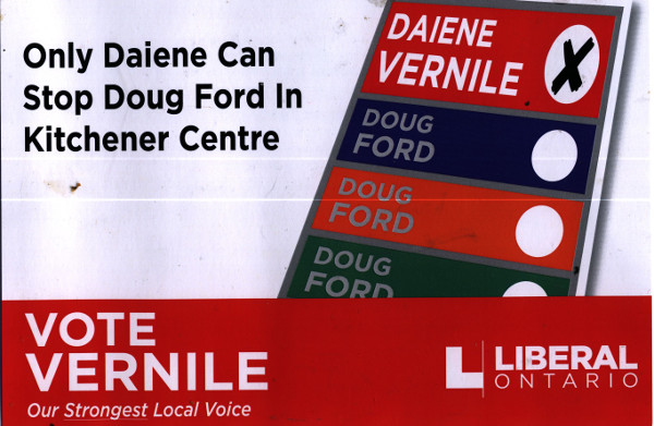 Leaflet: Only Diaene Can Stop Doug Ford In Kitchener Centre